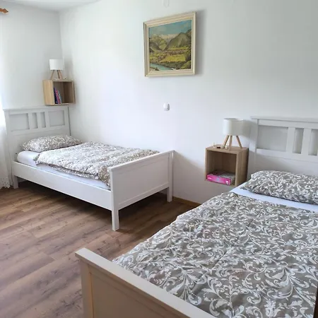 Apartment Apartma Pri Noni Silvi