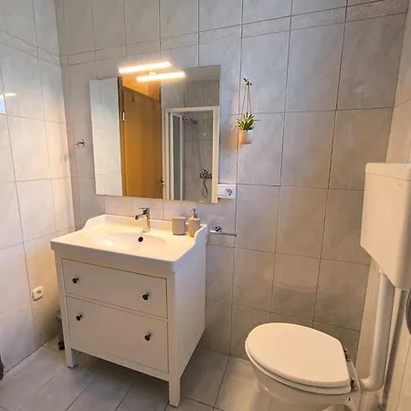 Apartma Pri Noni Silvi شقة تولمين