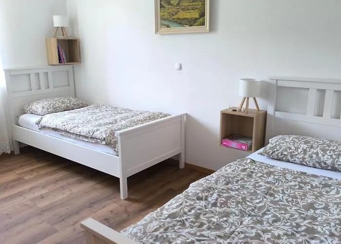 公寓 Apartma Pri Noni Silvi